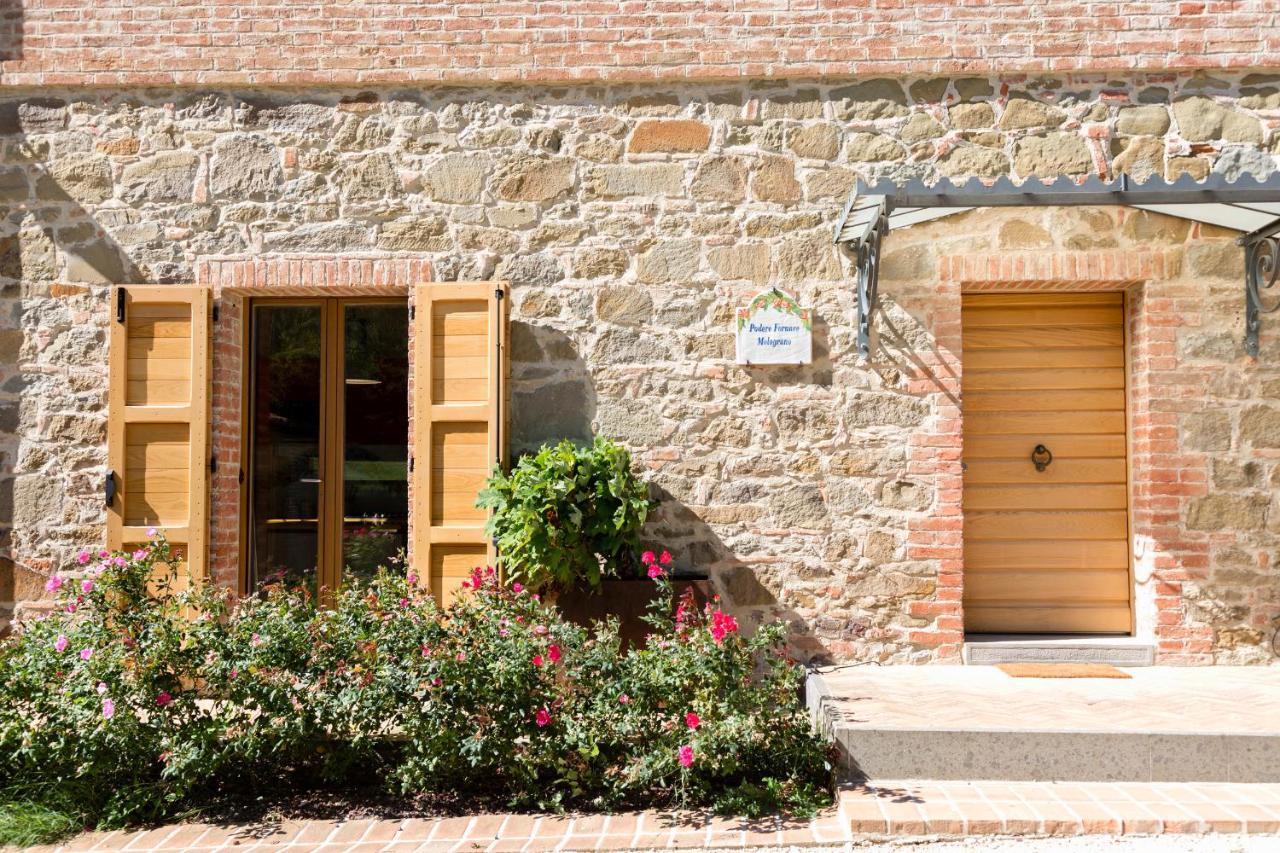 فيلا Borgo Giorgione Monteleone dʼOrvieto المظهر الخارجي الصورة
